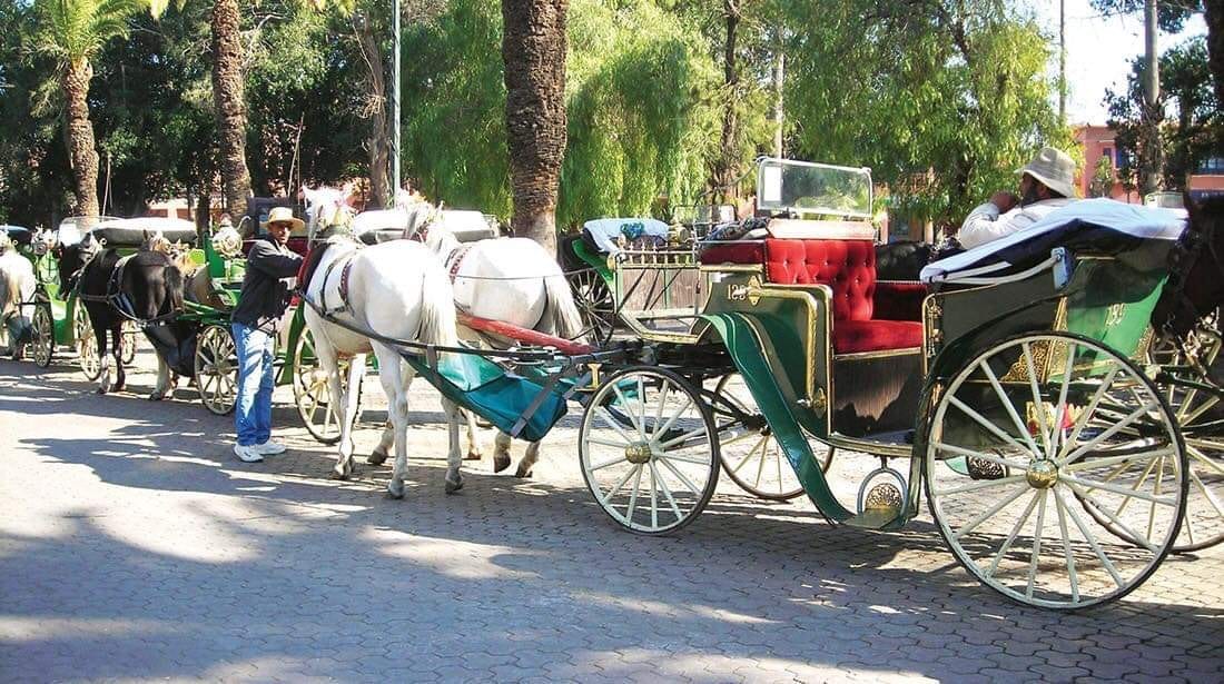 Calèche (Kotxi) de Marrakech